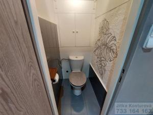 Pronájem bytu 3+1, Opava - Předměstí, Haškova, 66 m2