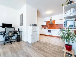 Pronájem bytu 2+kk, Brno - Lesná, Haškova, 79 m2