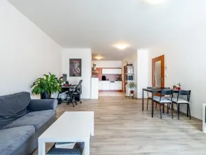 Pronájem bytu 2+kk, Brno - Lesná, Haškova, 79 m2