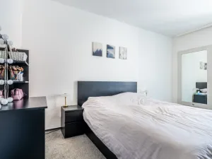 Pronájem bytu 2+kk, Brno - Lesná, Haškova, 79 m2