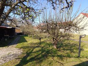 Prodej rodinného domu, Staré Město, Tyršova, 250 m2