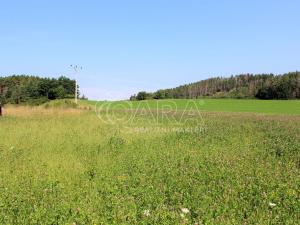 Prodej podílu 1/2 pozemku pro bydlení, Obory, 41779 m2
