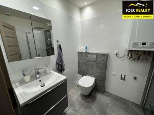 Pronájem bytu 1+kk, Opava, Krnovská, 30 m2