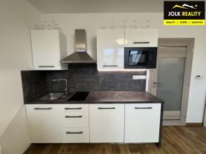 Pronájem bytu 1+kk, Opava, Krnovská, 30 m2