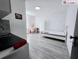 Pronájem bytu 1+kk, Lužná, Nová, 22 m2