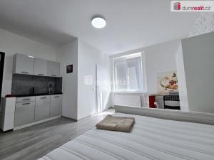 Pronájem bytu 1+kk, Lužná, Nová, 22 m2