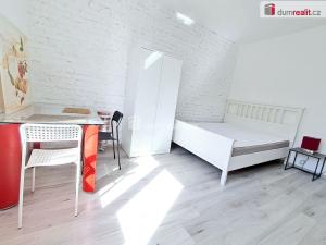 Pronájem bytu 1+kk, Lužná, Nová, 22 m2
