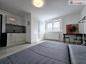 Pronájem bytu 1+kk, Lužná, Nová, 22 m2