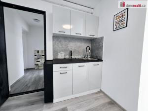 Pronájem bytu 1+kk, Lužná, Nová, 22 m2