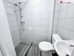 Pronájem bytu 1+kk, Lužná, Nová, 22 m2