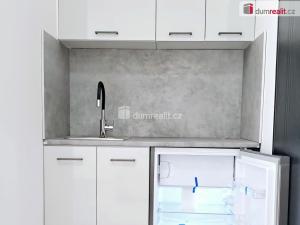 Pronájem bytu 1+kk, Lužná, Nová, 22 m2