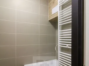 Pronájem bytu 1+1, Praha - Podolí, Břidličná, 34 m2