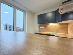 Pronájem bytu 2+kk, Chomutov, Partyzánská, 68 m2