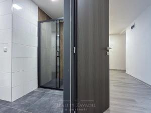 Pronájem bytu 2+kk, Chomutov, Partyzánská, 68 m2