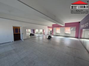 Pronájem skladu, Frýdek-Místek, Pionýrů, 430 m2