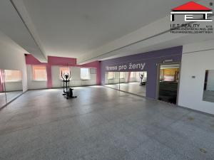 Pronájem skladu, Frýdek-Místek, Pionýrů, 430 m2