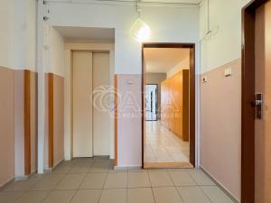 Pronájem bytu 2+kk, Český Krumlov - Domoradice, Šeříková, 56 m2