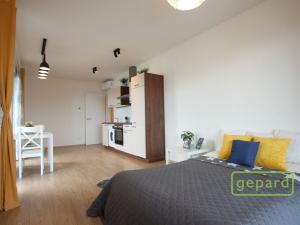 Pronájem bytu 1+kk, Brno - Zábrdovice, Bratislavská, 33 m2