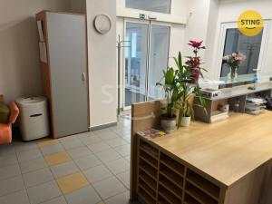 Pronájem kanceláře, Ostrava, Nemocniční, 280 m2