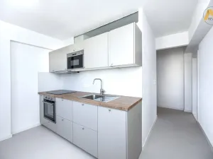 Pronájem bytu 2+1, Písek - Budějovické Předměstí, Dr. M. Horákové, 53 m2