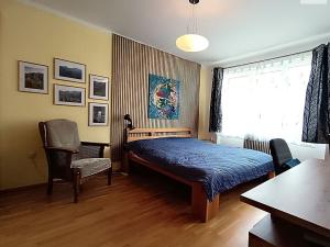 Pronájem bytu 1+kk, Bohutín - Vysoká Pec, 33 m2