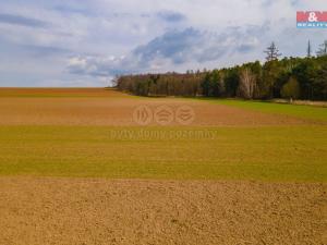 Prodej pole, Tlučná, 9418 m2