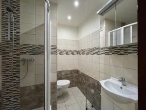 Pronájem bytu 1+kk, Olomouc - Povel, Janského, 25 m2
