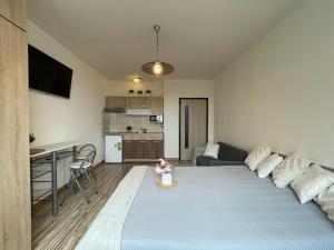 Pronájem bytu 1+kk, Olomouc - Povel, Janského, 25 m2