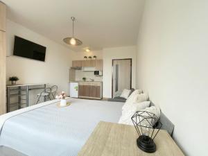 Pronájem bytu 1+kk, Olomouc - Povel, Janského, 25 m2
