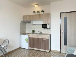 Pronájem bytu 1+kk, Olomouc - Povel, Janského, 25 m2