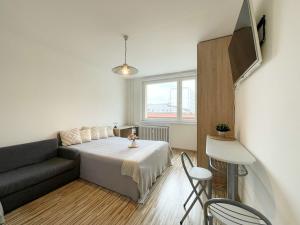 Pronájem bytu 1+kk, Olomouc - Povel, Janského, 25 m2