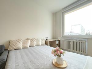 Pronájem bytu 1+kk, Olomouc - Povel, Janského, 25 m2