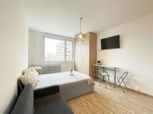 Pronájem bytu 1+kk, Olomouc - Povel, Janského, 25 m2