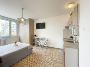 Pronájem bytu 1+kk, Olomouc - Povel, Janského, 25 m2