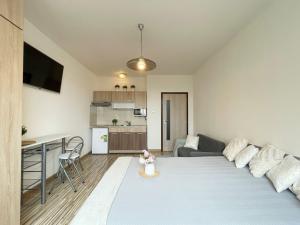 Pronájem bytu 1+kk, Olomouc - Povel, Janského, 25 m2
