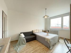 Pronájem bytu 1+kk, Olomouc - Povel, Janského, 25 m2
