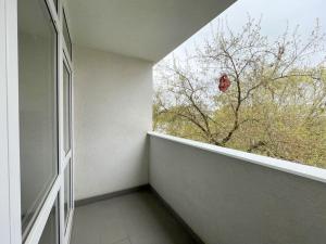 Pronájem bytu 1+kk, Olomouc - Povel, Janského, 25 m2
