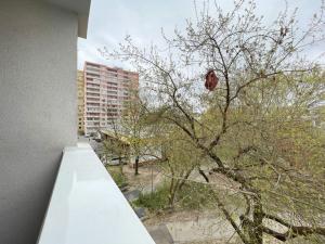 Pronájem bytu 1+kk, Olomouc - Povel, Janského, 25 m2