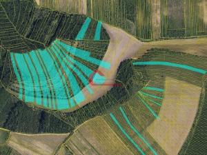 Prodej pole, Brumovice, 63768 m2