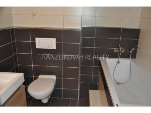 Pronájem bytu 2+kk, České Budějovice - České Budějovice 3, Nová, 52 m2