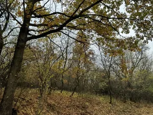 Prodej podílu louky, Chrášťany, 2086 m2