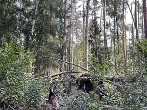 Prodej podílu pozemku, Velký Ratmírov, 3510 m2