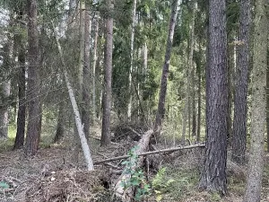Prodej podílu pozemku, Velký Ratmírov, 3510 m2