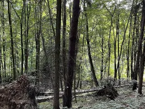 Prodej podílu pozemku, Útěchov, 37614 m2