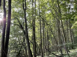 Prodej podílu pozemku, Útěchov, 37614 m2