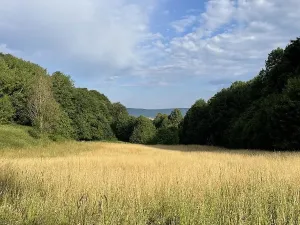 Prodej podílu pozemku, Útěchov, 37614 m2