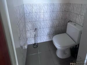 Pronájem obchodního prostoru, Pavlov, Rudolfa Gajdoše, 55 m2