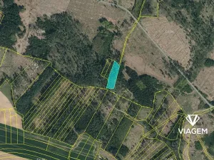 Prodej podílu lesa, Tomice, 1485 m2