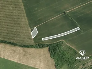 Prodej pole, Nosislav, 5643 m2