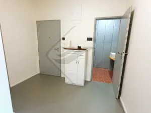 Prodej bytu 2+1, Praha - Libeň, U libeňského pivovaru, 83 m2